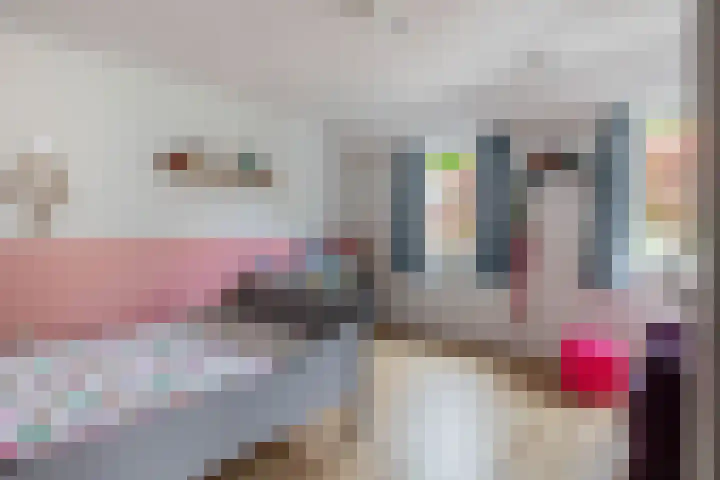 Rietstraat 32 Schijndel thumbnail 20
