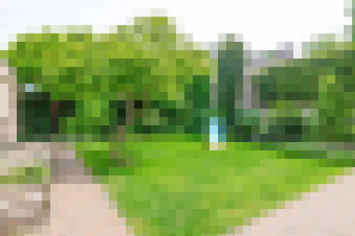 Rietstraat 32 Schijndel thumbnail 25