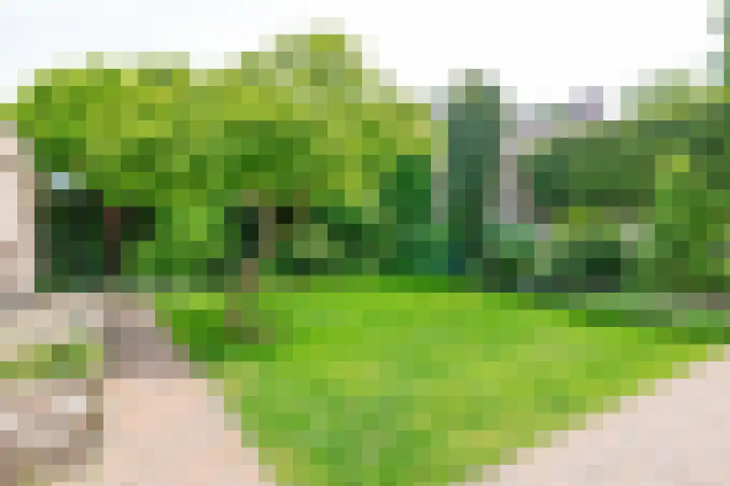 Rietstraat 32 Schijndel thumbnail 25