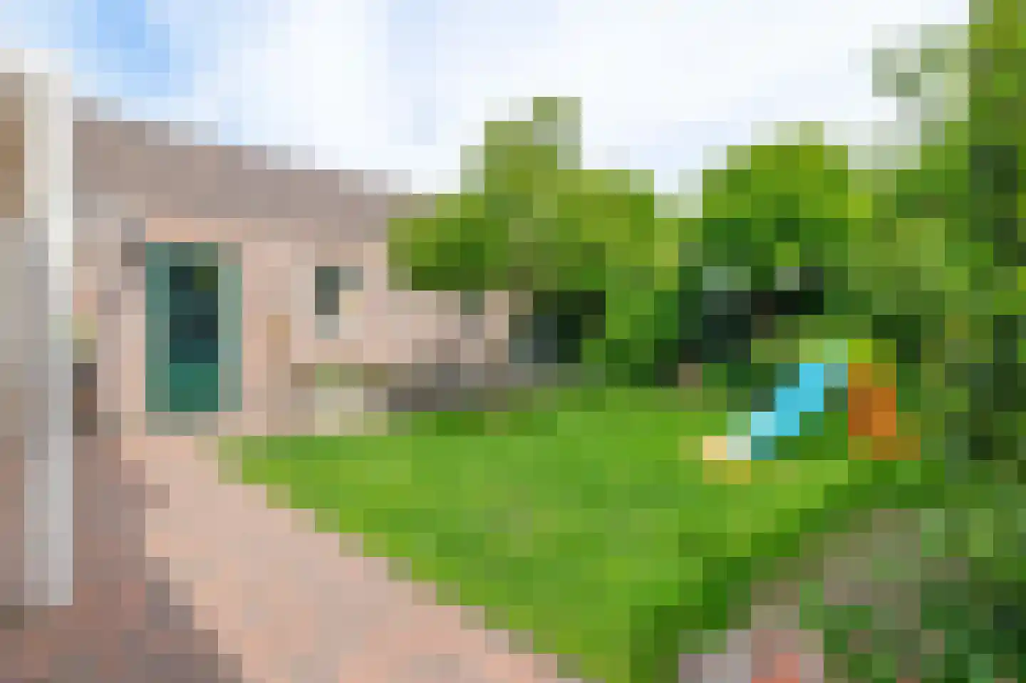Rietstraat 32 Schijndel thumbnail 27
