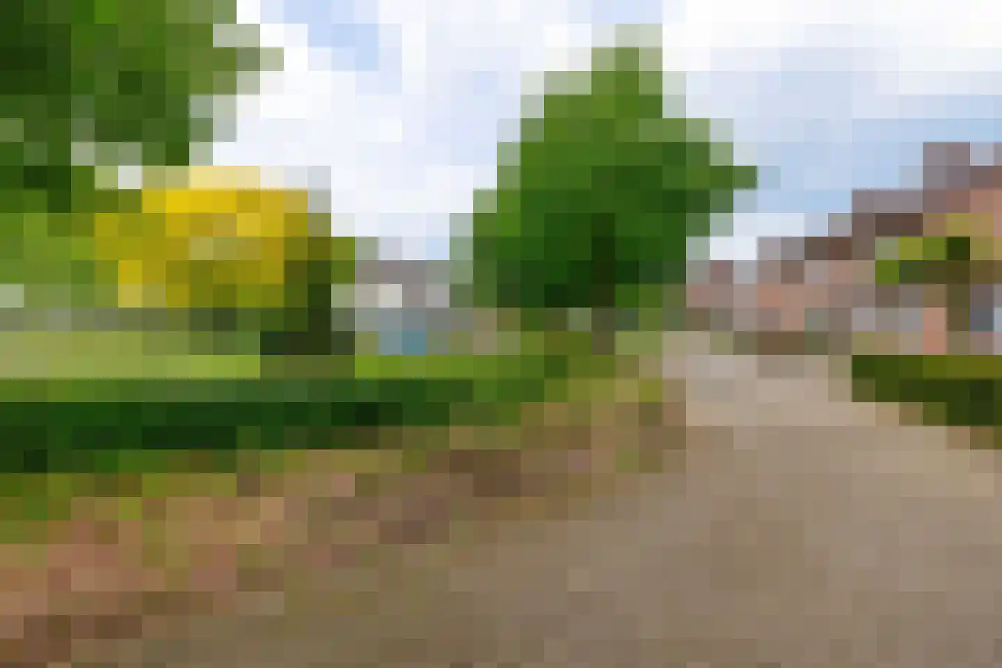 Rietstraat 32 Schijndel thumbnail 31