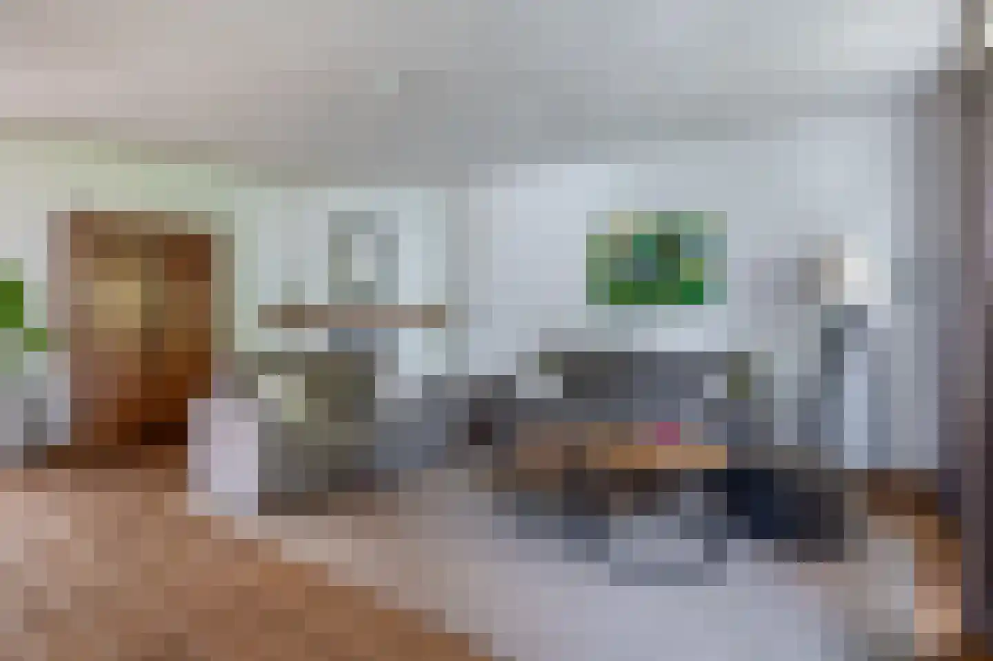 Rietstraat 32 Schijndel thumbnail 4