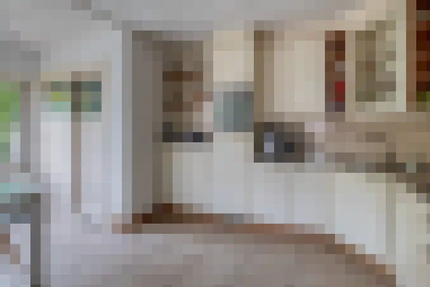 Rietstraat 32 Schijndel thumbnail 9
