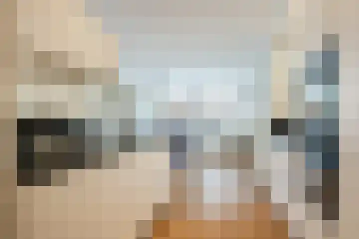 Rietstraat 38 Geldrop thumbnail 14