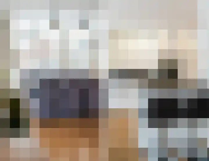 Rietstraat 38 Geldrop thumbnail 15