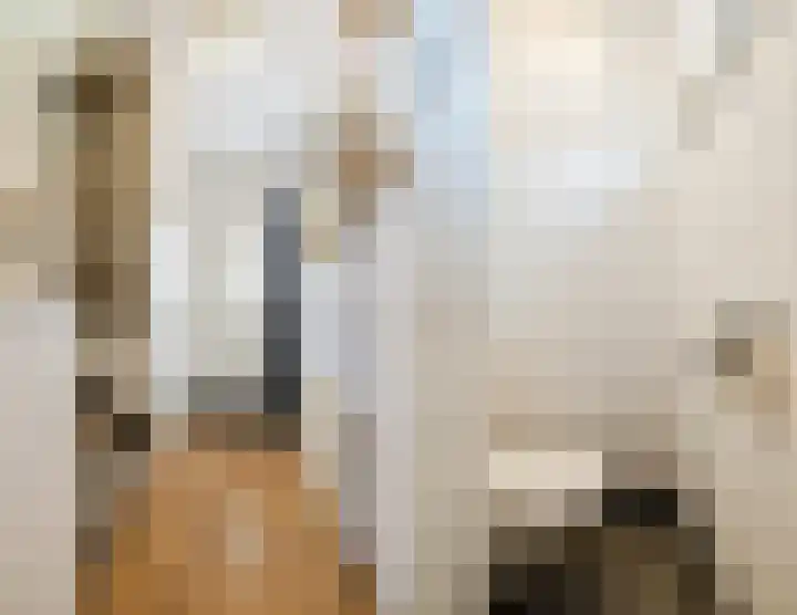 Rietstraat 38 Geldrop thumbnail 16