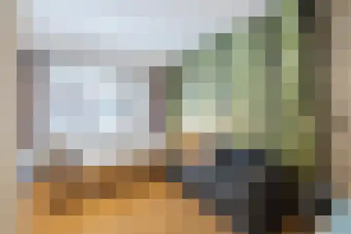 Rietstraat 38 Geldrop thumbnail 17