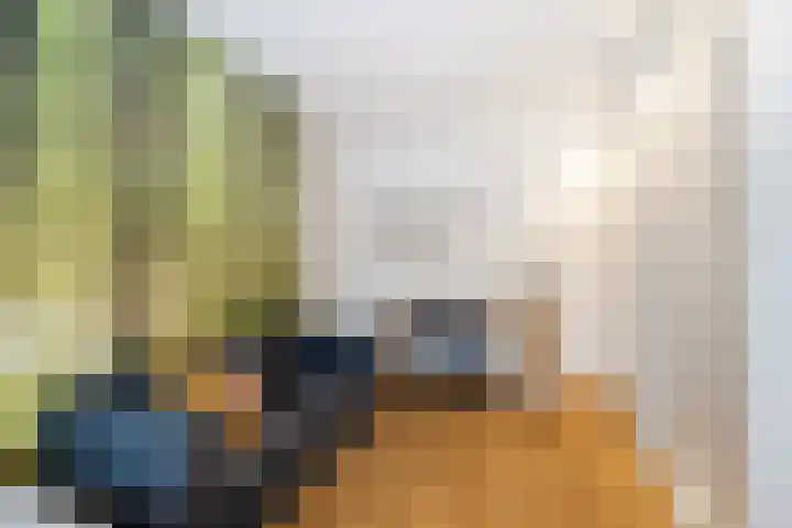 Rietstraat 38 Geldrop thumbnail 18