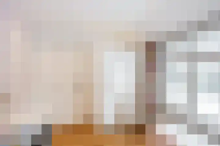 Rietstraat 38 Geldrop thumbnail 20