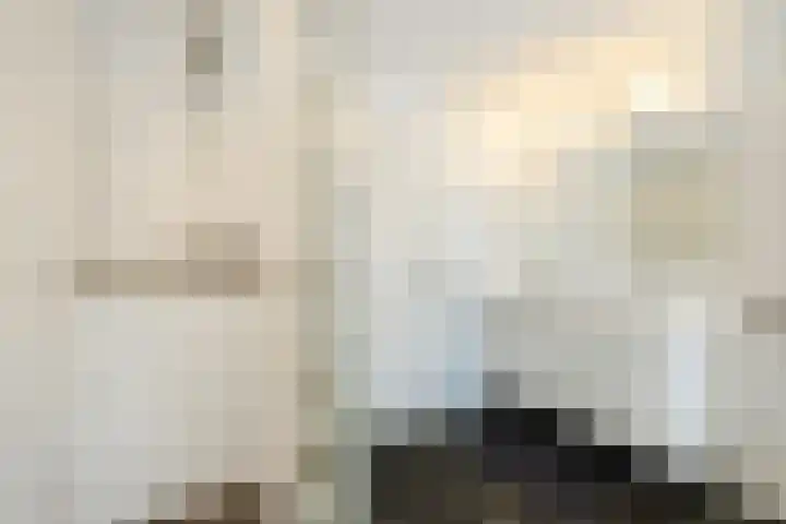 Rietstraat 38 Geldrop thumbnail 23