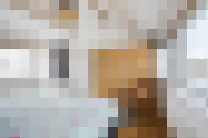 Rietstraat 38 Geldrop thumbnail 26