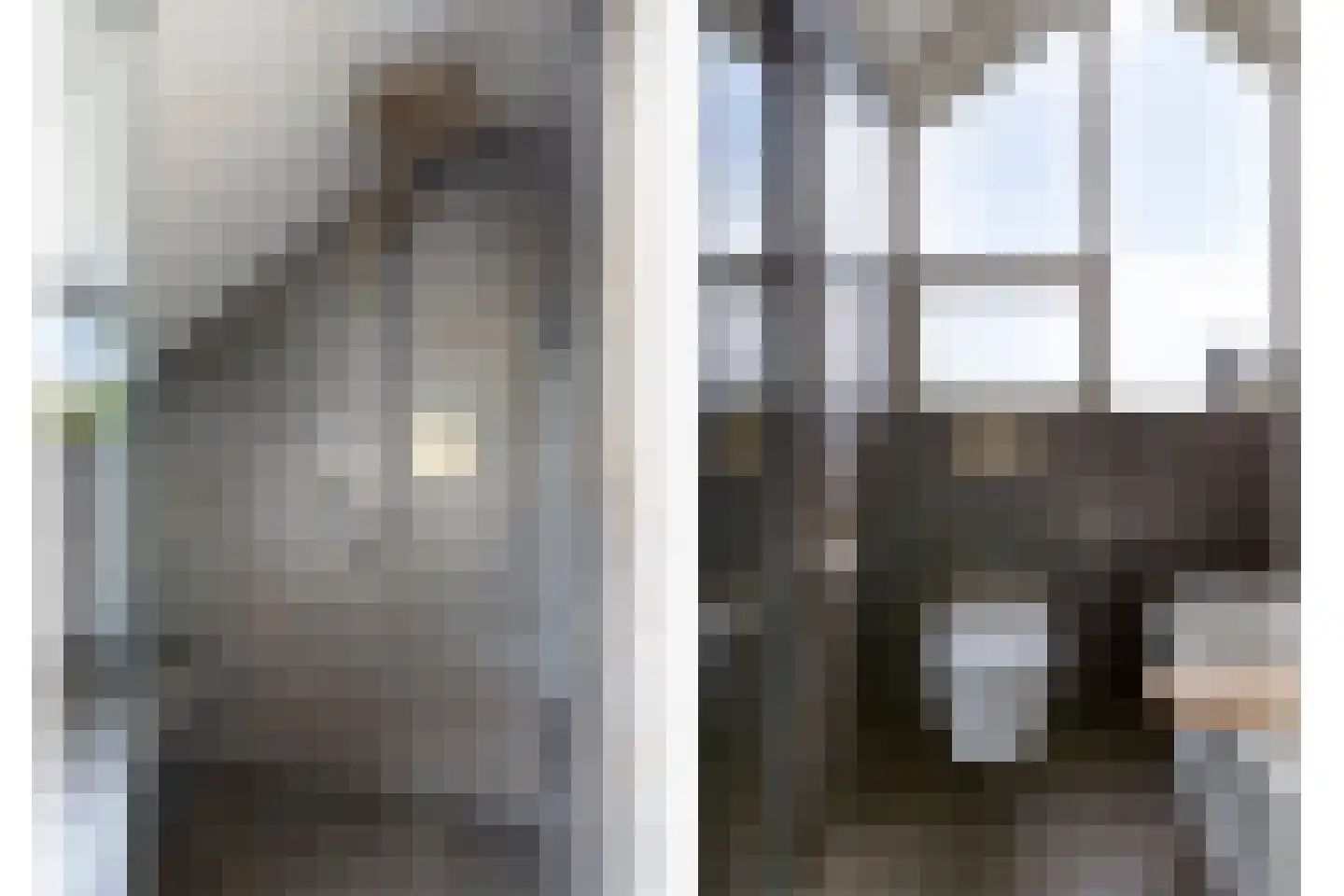 Rietstraat 45 Geldrop thumbnail 12