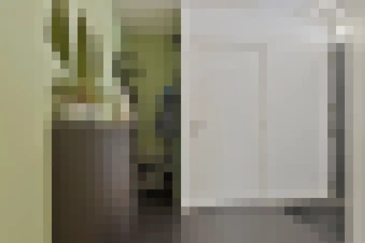 Rietstraat 45 Geldrop thumbnail 14
