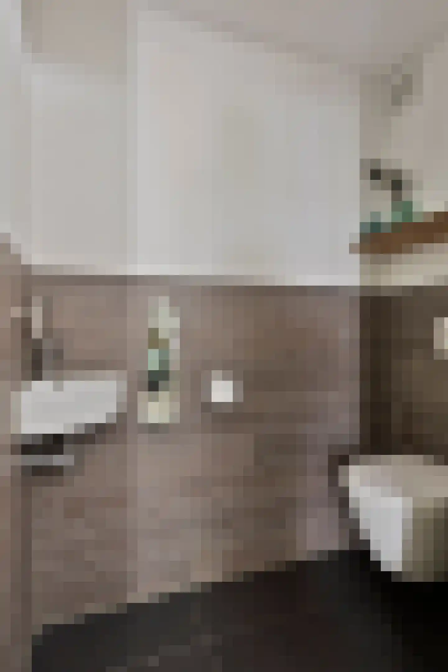 Rietstraat 45 Geldrop thumbnail 15