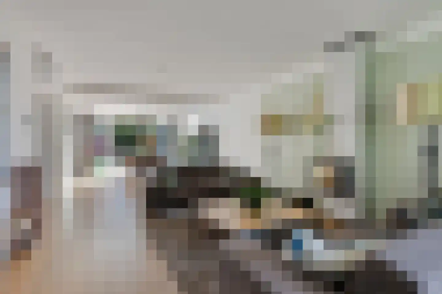 Rietstraat 45 Geldrop thumbnail 24