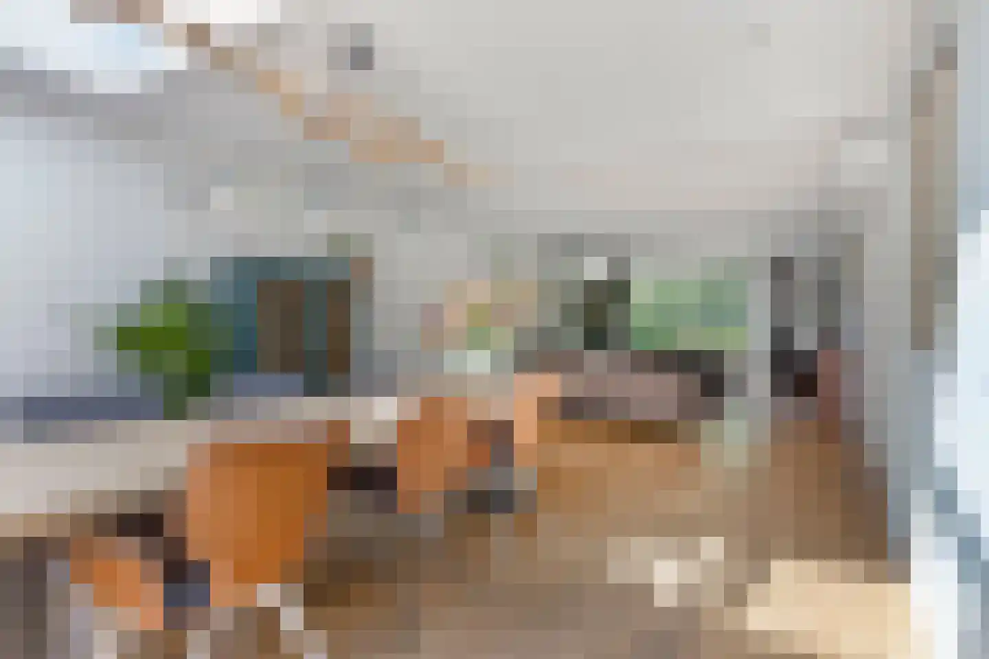 Rietstraat 45 Geldrop thumbnail 28