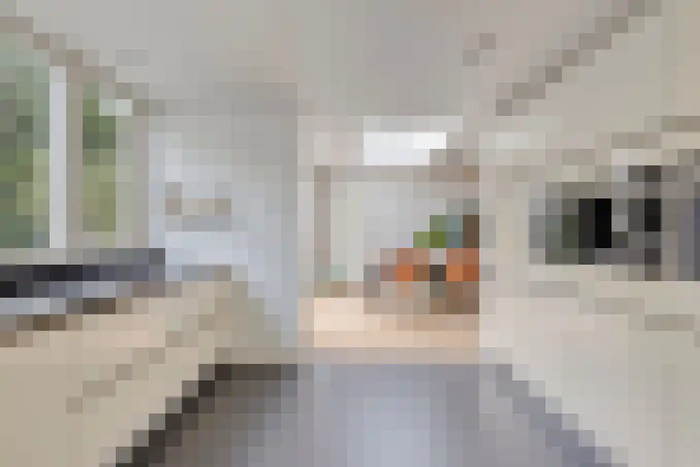 Rietstraat 45 Geldrop thumbnail 32