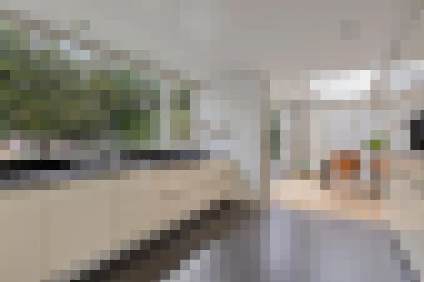 Rietstraat 45 Geldrop thumbnail 33