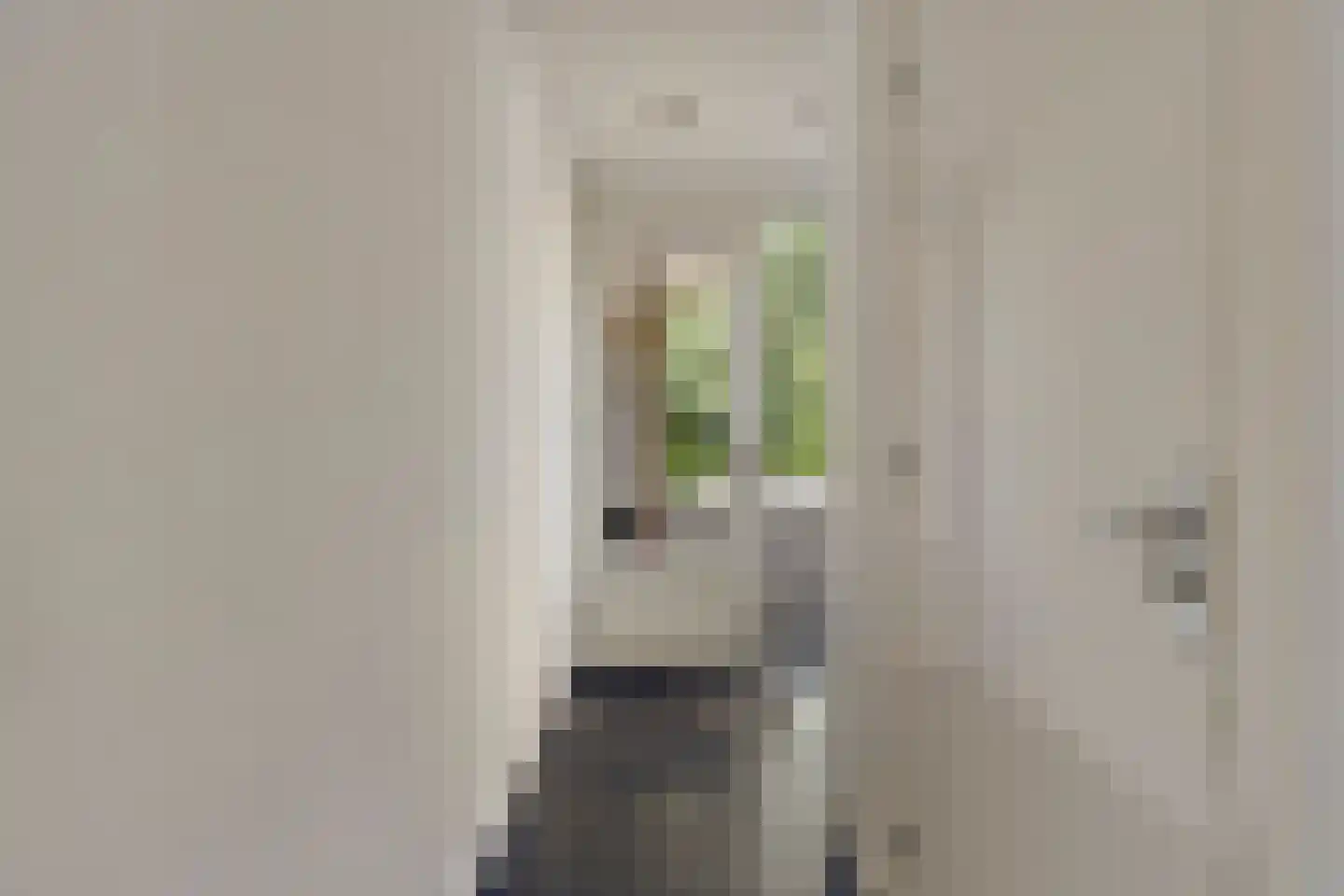 Rietstraat 45 Geldrop thumbnail 37
