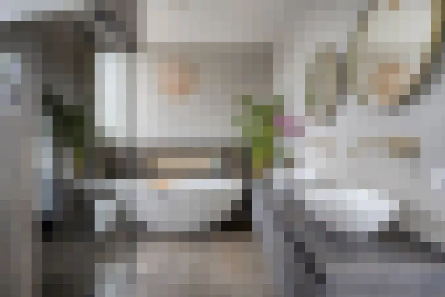 Rietstraat 45 Geldrop thumbnail 4