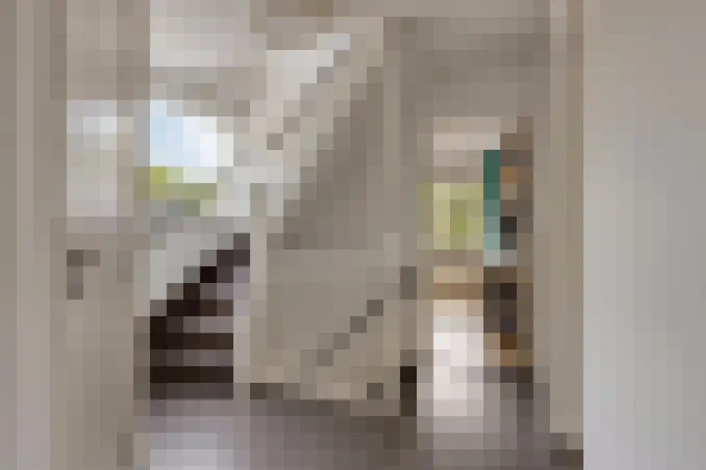 Rietstraat 45 Geldrop thumbnail 42