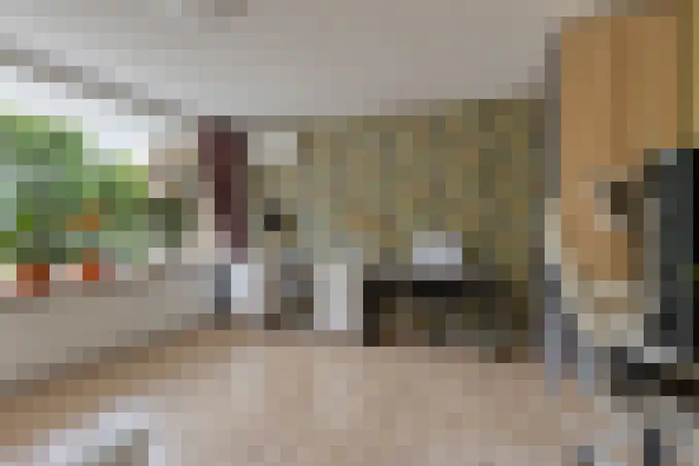 Rietstraat 45 Geldrop thumbnail 43