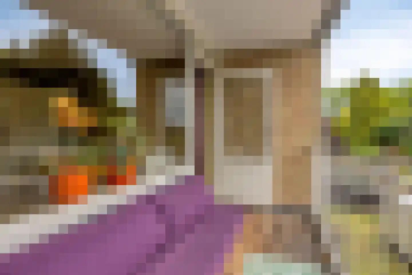 Rietstraat 45 Geldrop thumbnail 46