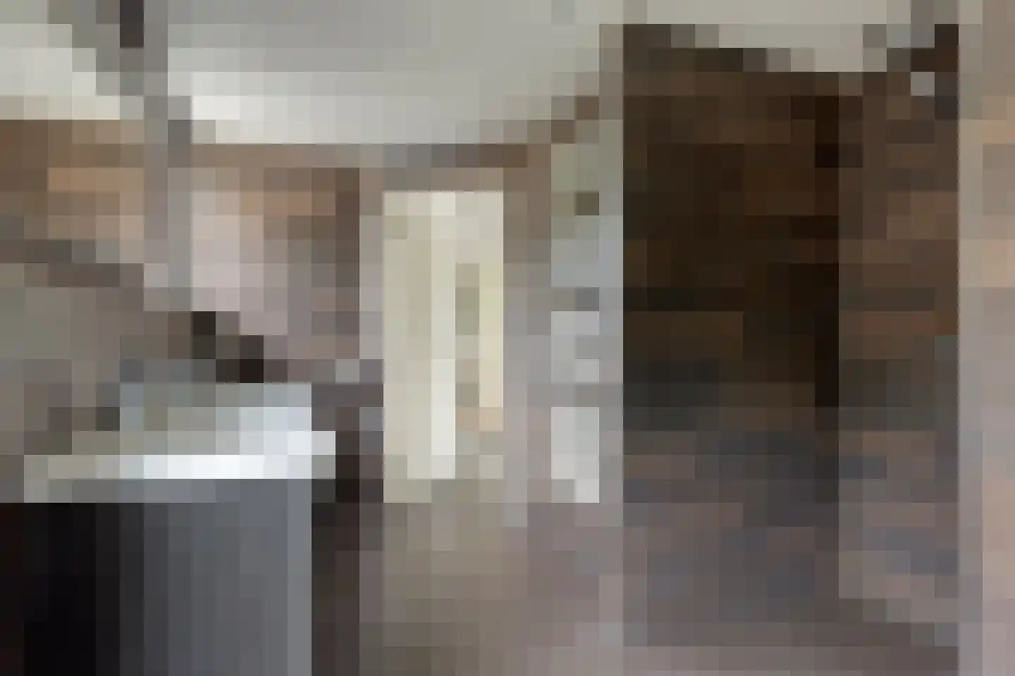Rietstraat 45 Geldrop thumbnail 48
