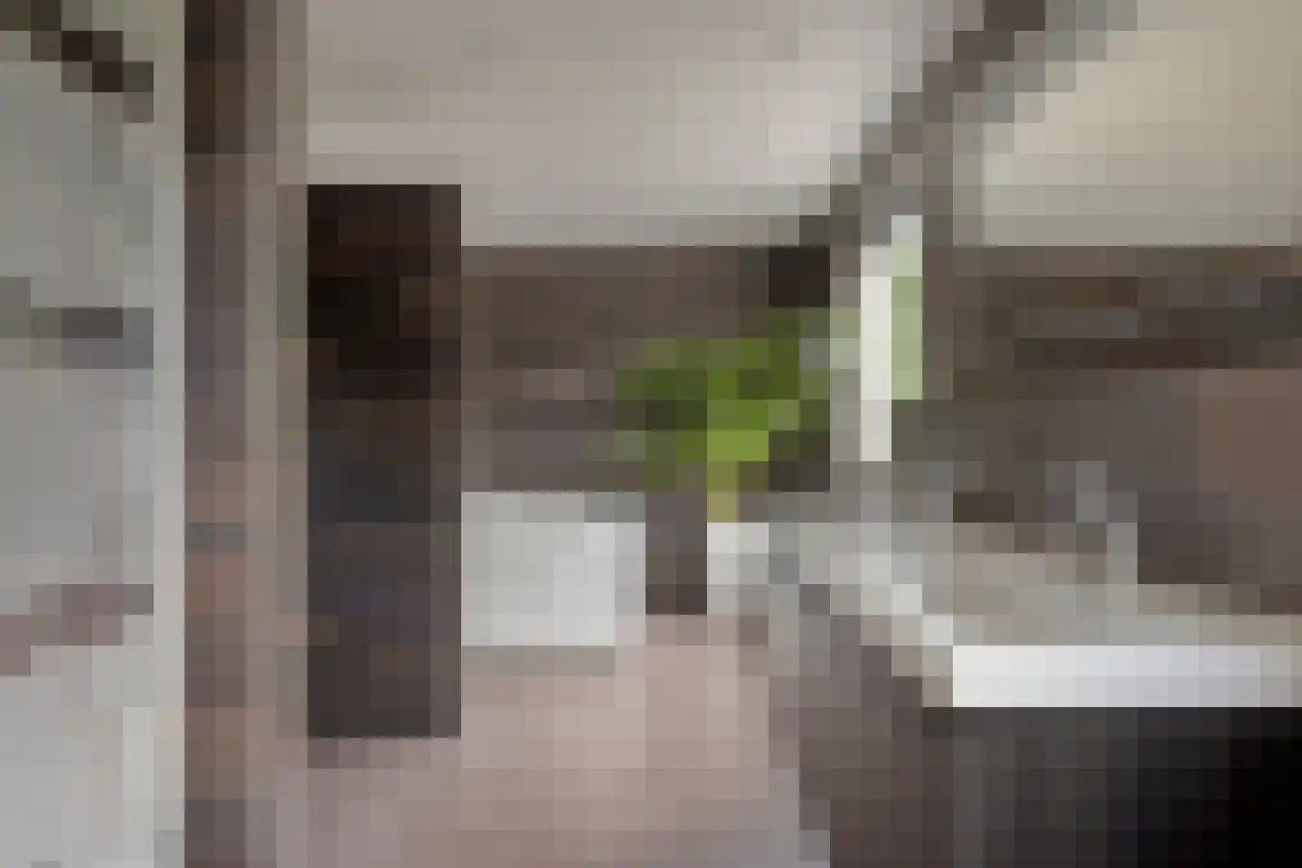 Rietstraat 45 Geldrop thumbnail 49