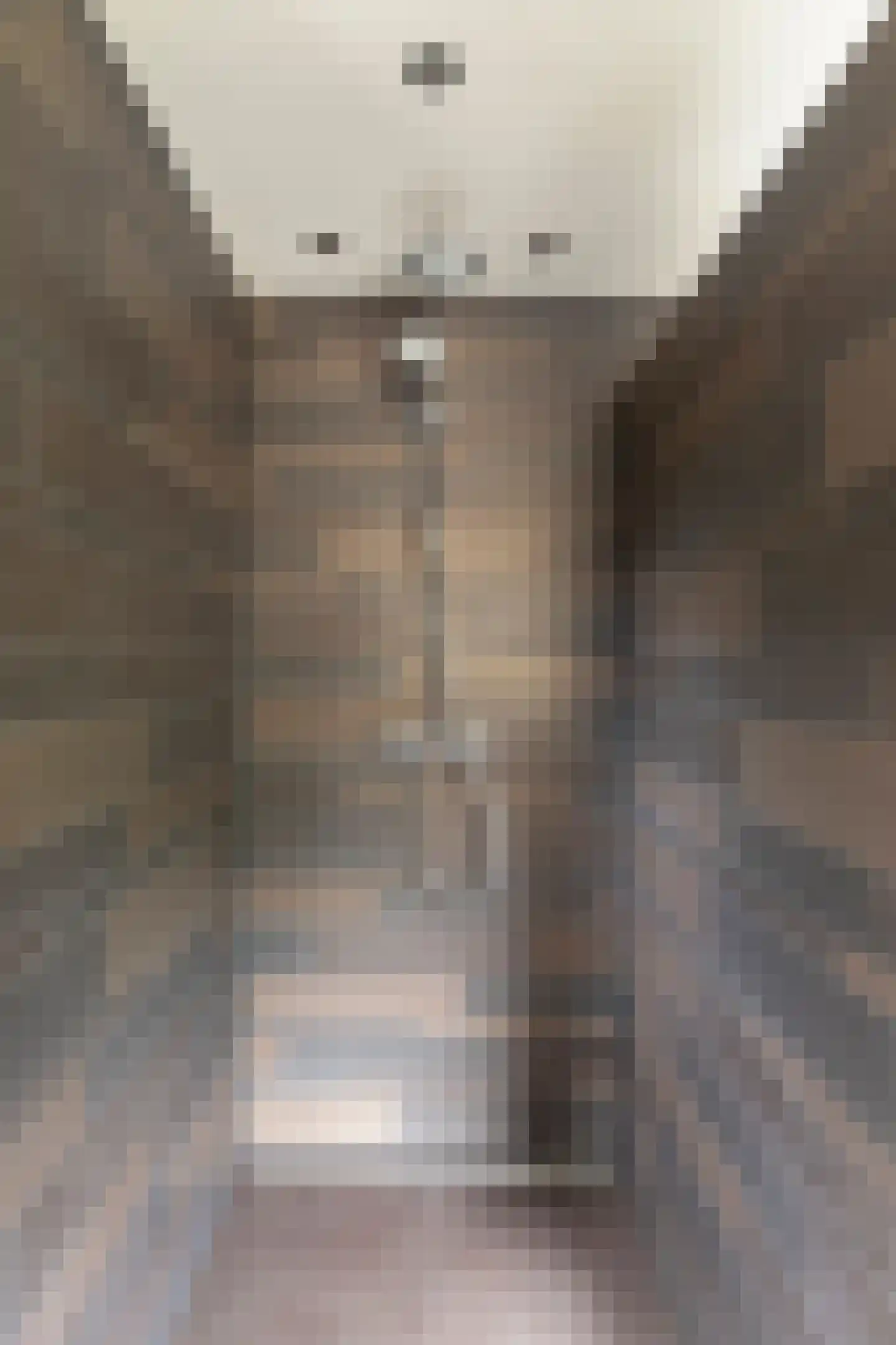 Rietstraat 45 Geldrop thumbnail 51
