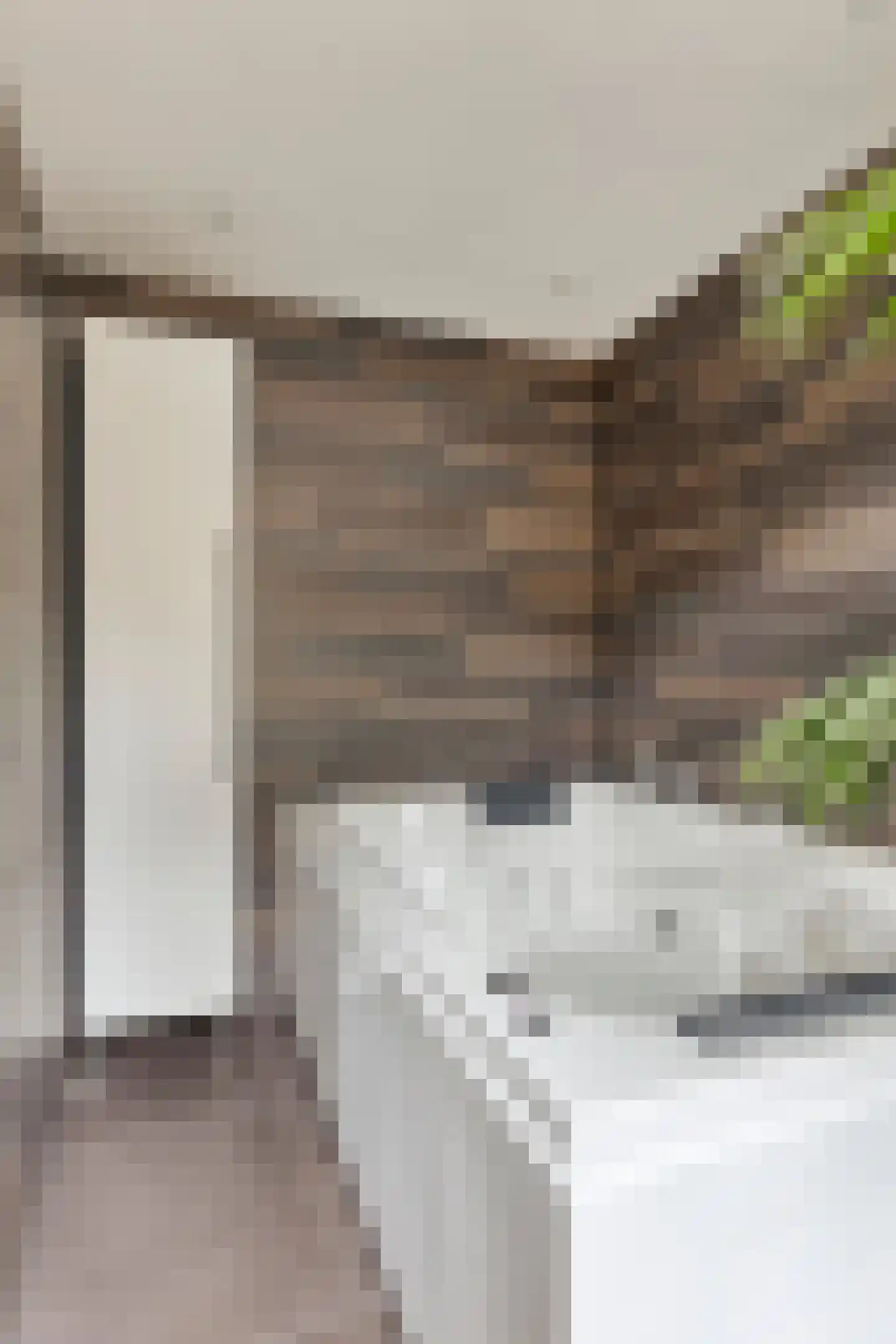 Rietstraat 45 Geldrop thumbnail 52