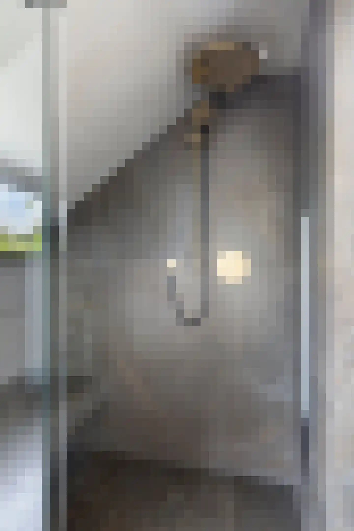 Rietstraat 45 Geldrop thumbnail 62