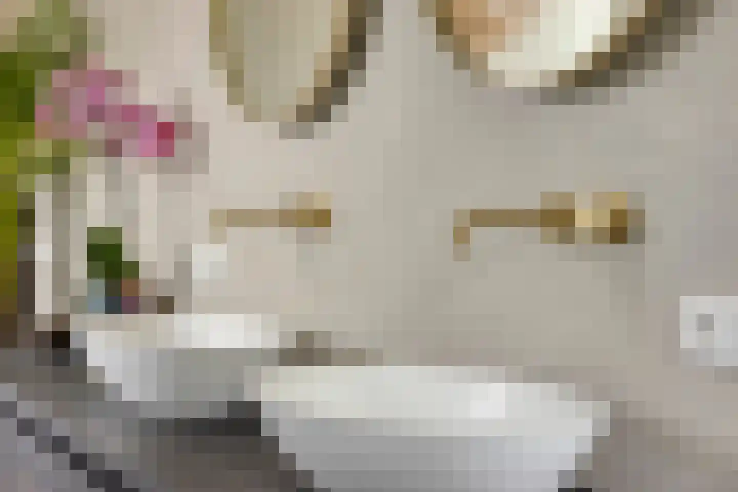 Rietstraat 45 Geldrop thumbnail 64