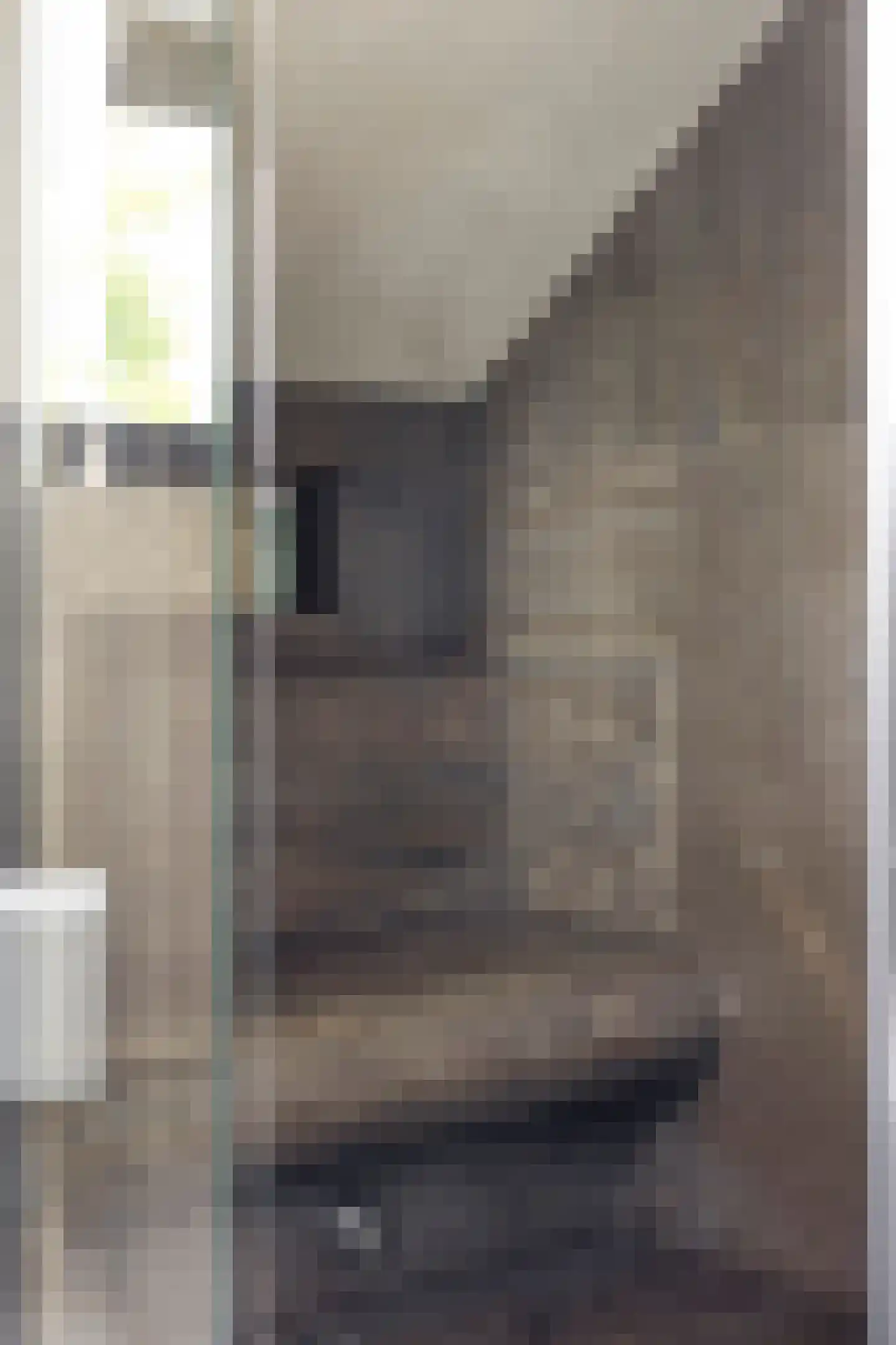 Rietstraat 45 Geldrop thumbnail 66