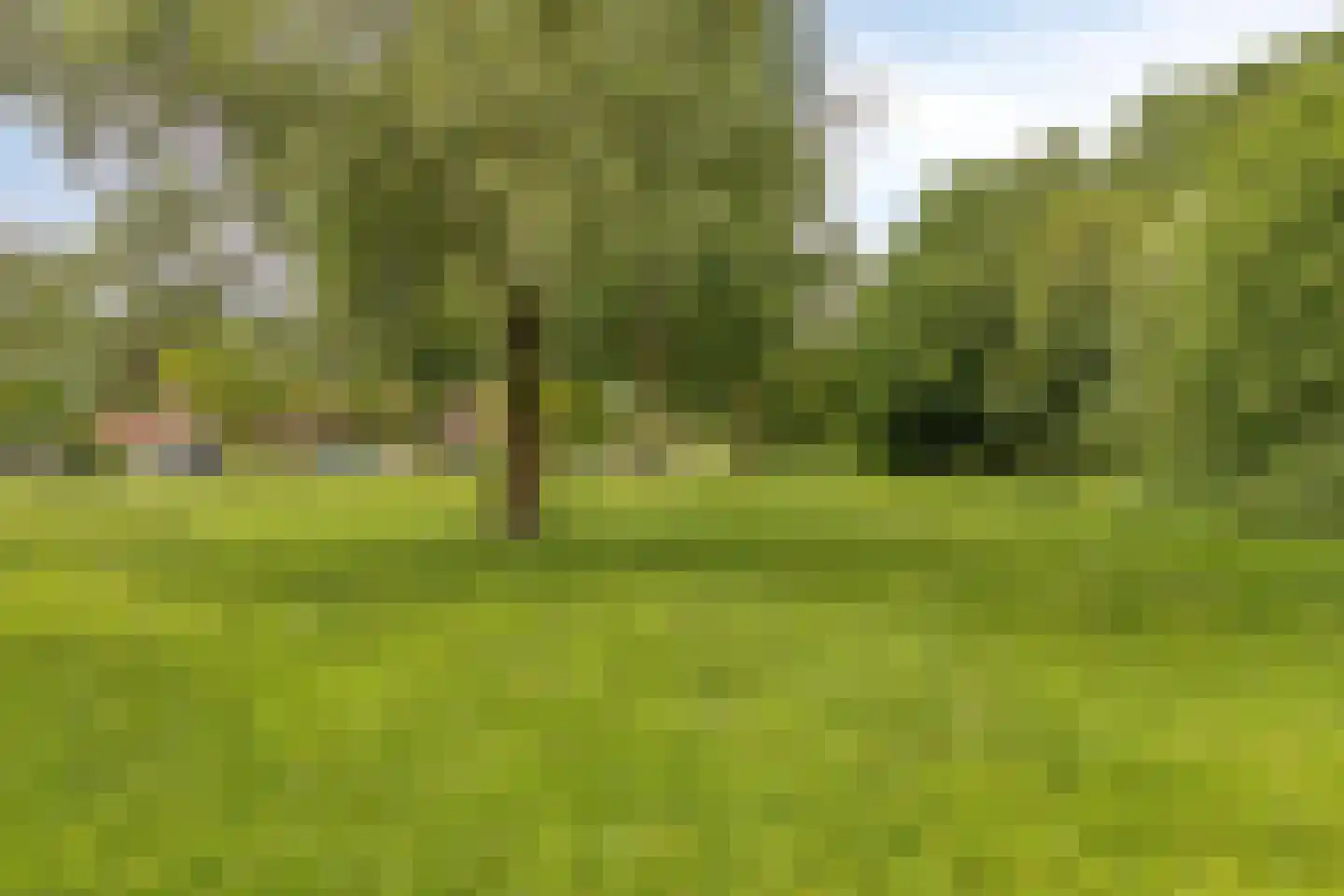 Rietstraat 45 Geldrop thumbnail 77