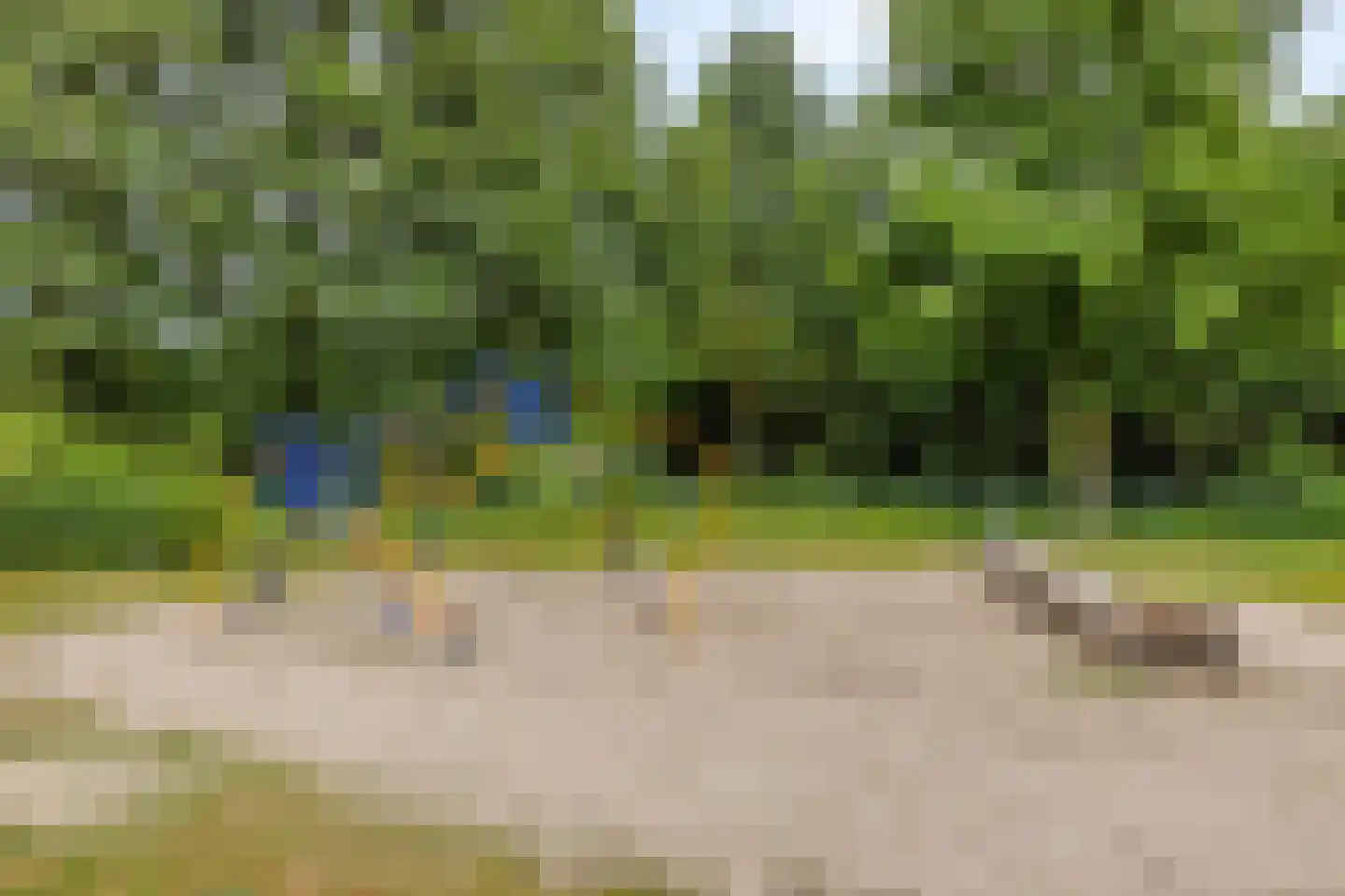Rietstraat 45 Geldrop thumbnail 78