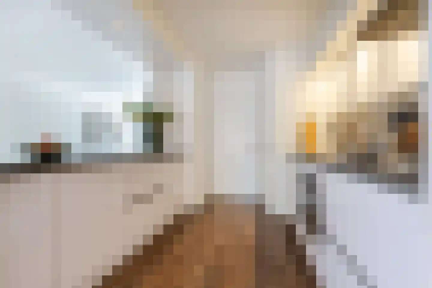 Rietstraat 48 Geldrop thumbnail 10