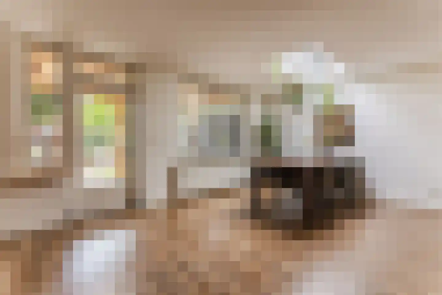Rietstraat 48 Geldrop thumbnail 12