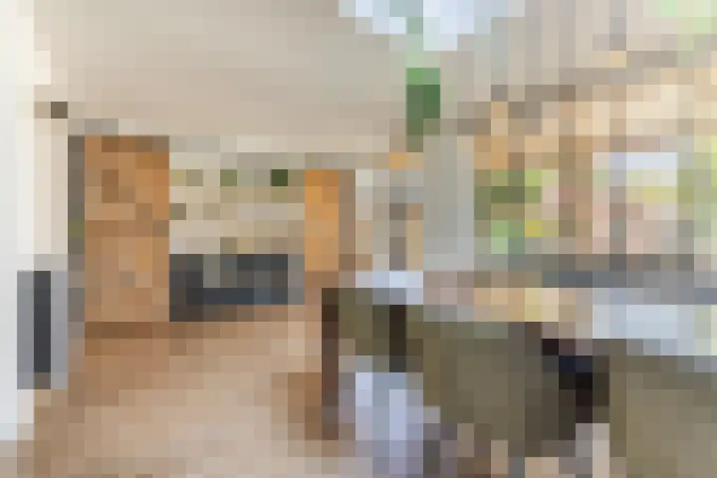 Rietstraat 48 Geldrop thumbnail 13