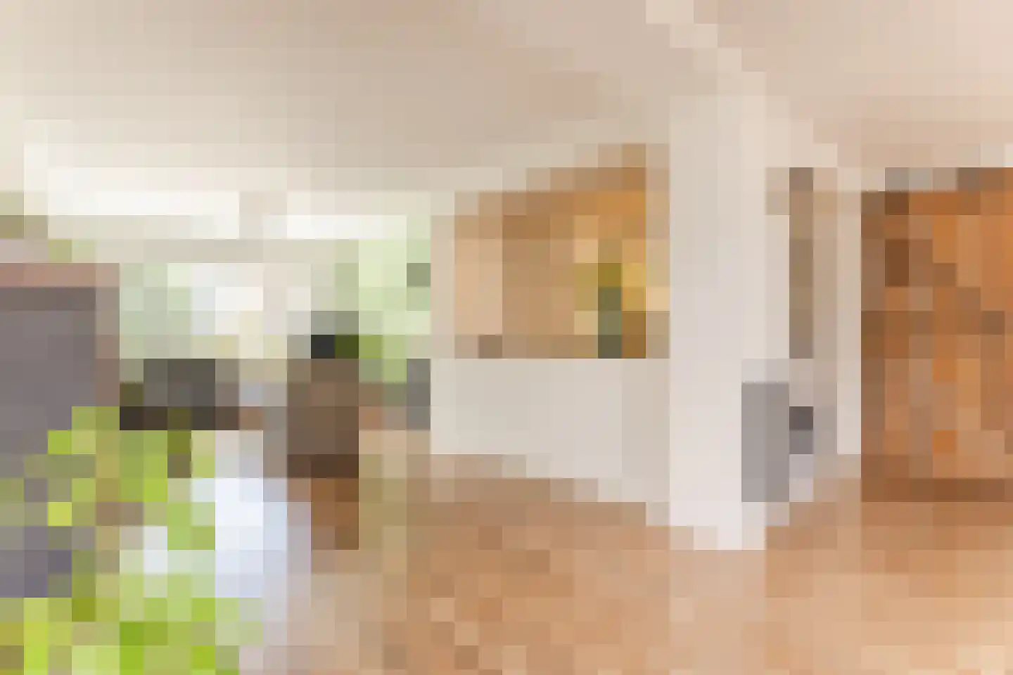 Rietstraat 48 Geldrop thumbnail 16