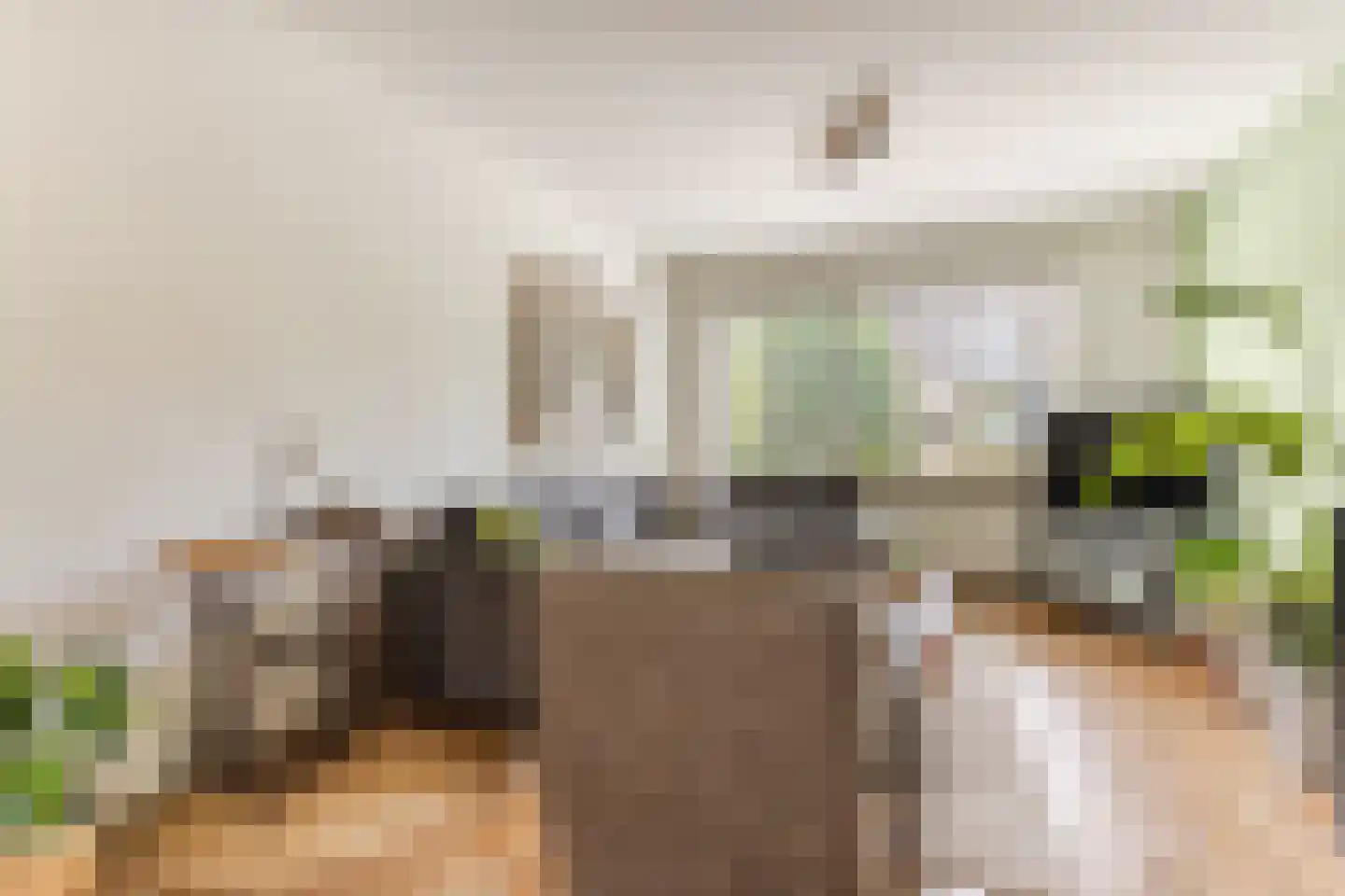 Rietstraat 48 Geldrop thumbnail 17