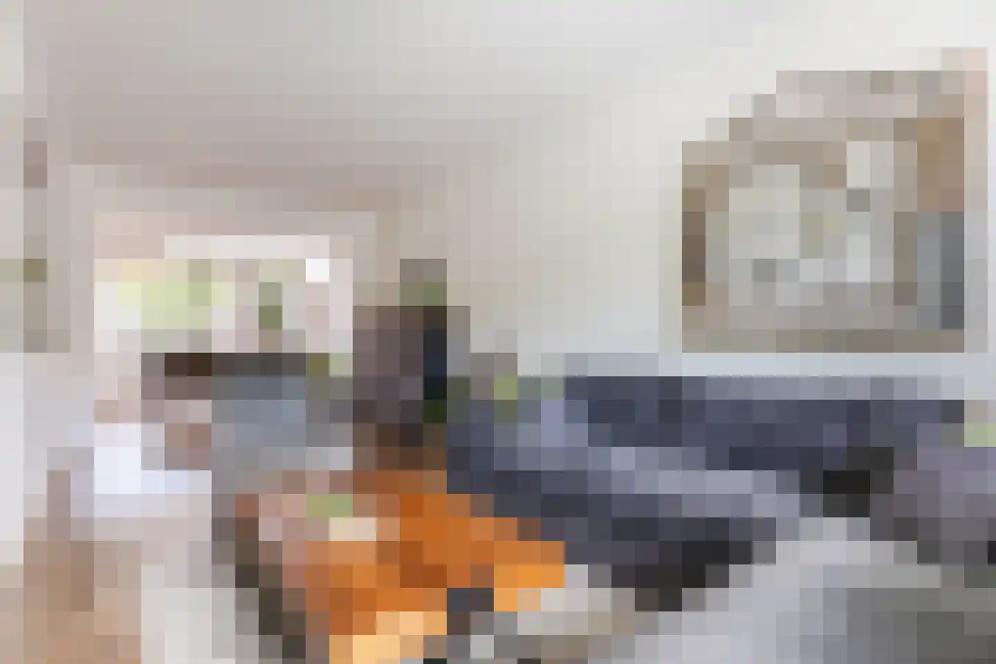 Rietstraat 48 Geldrop thumbnail 18