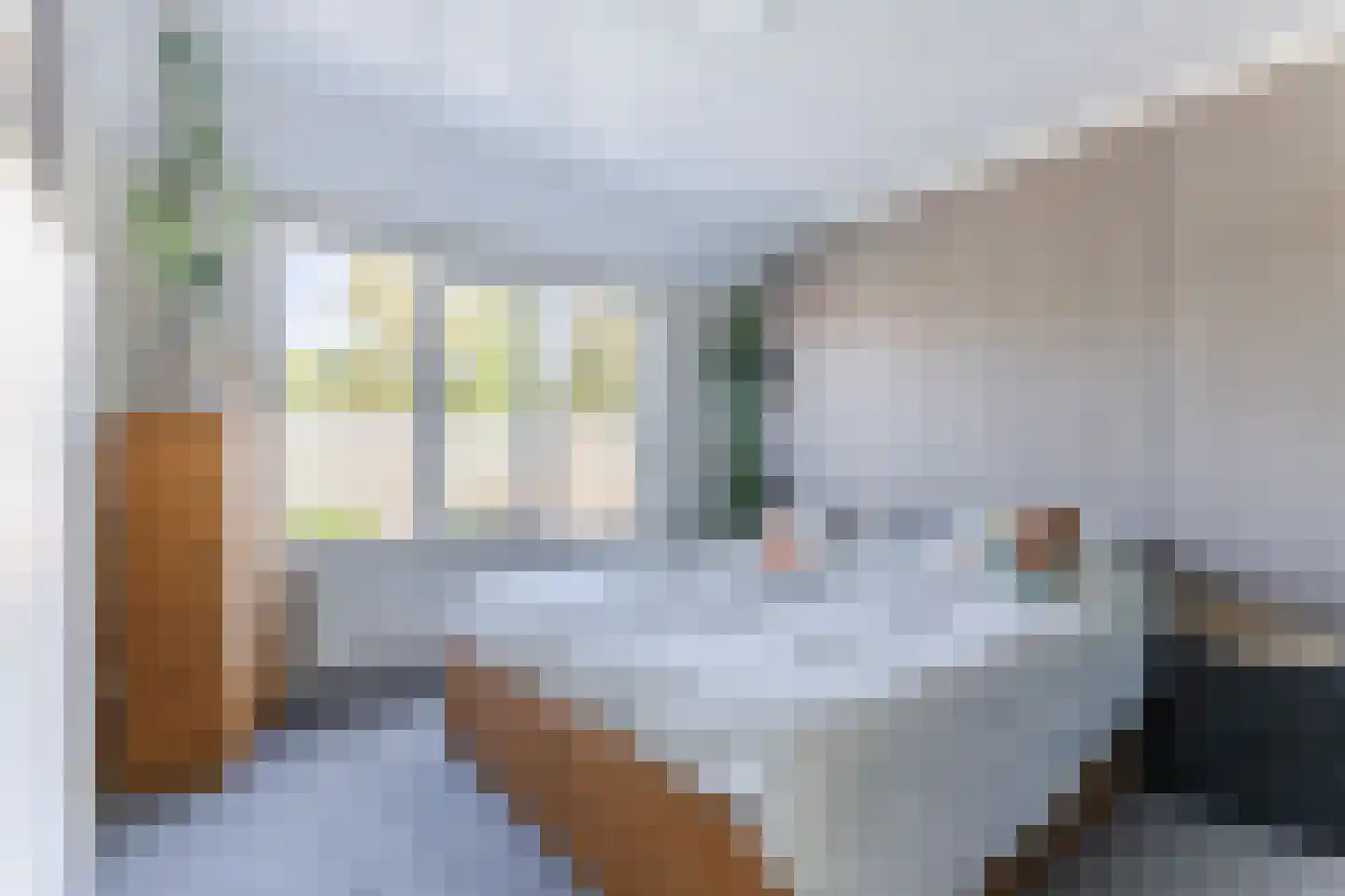 Rietstraat 48 Geldrop thumbnail 19