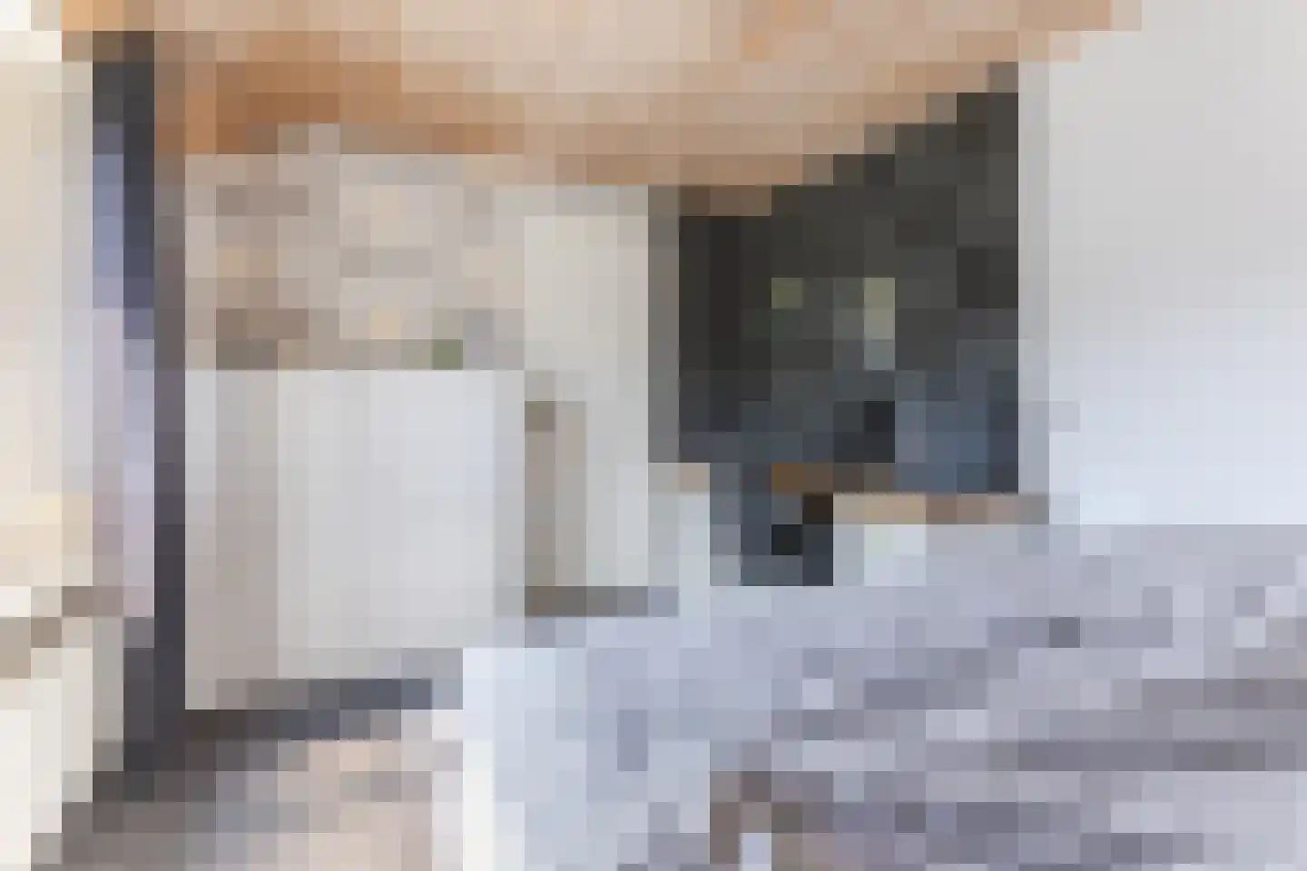 Rietstraat 48 Geldrop thumbnail 22