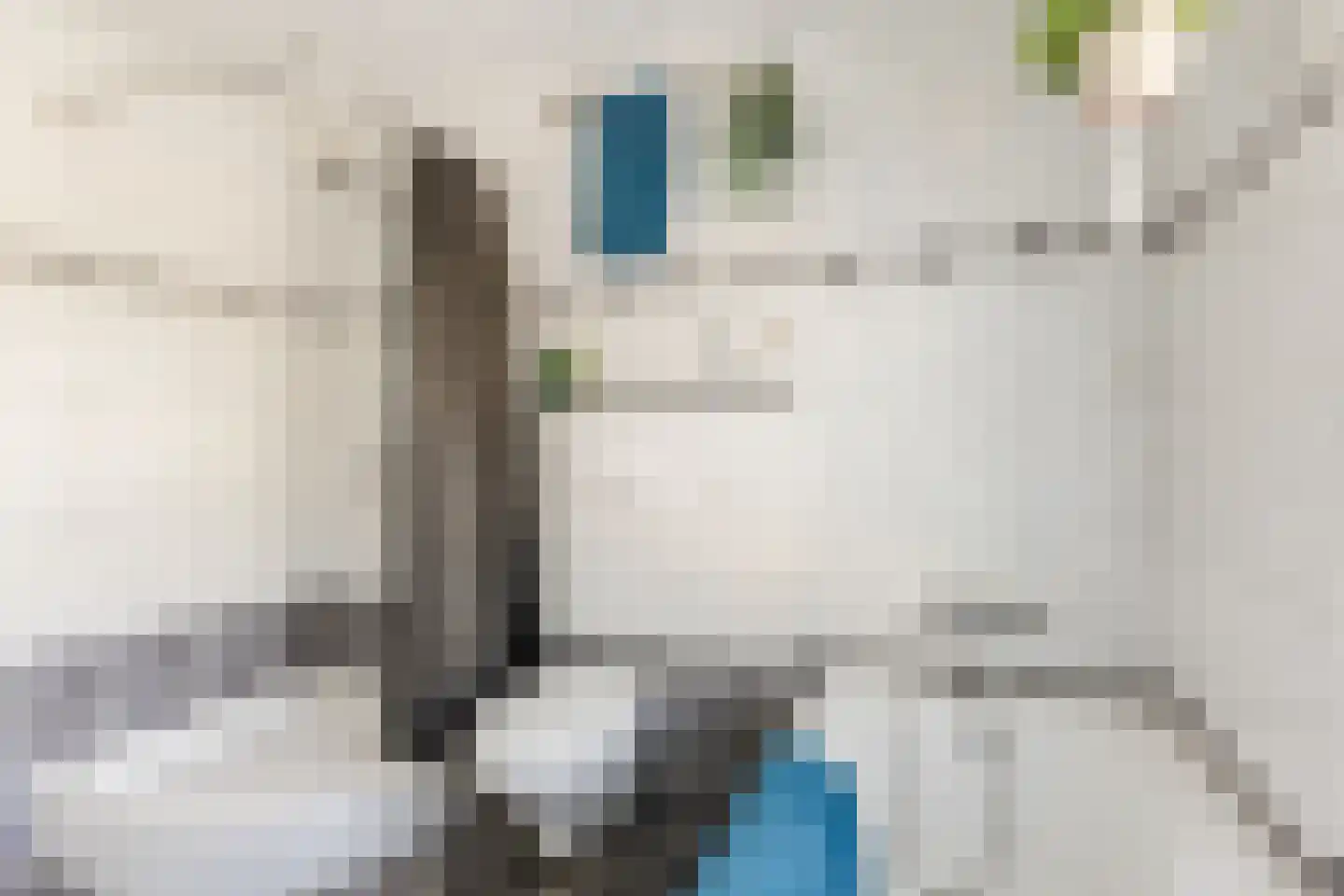 Rietstraat 48 Geldrop thumbnail 23