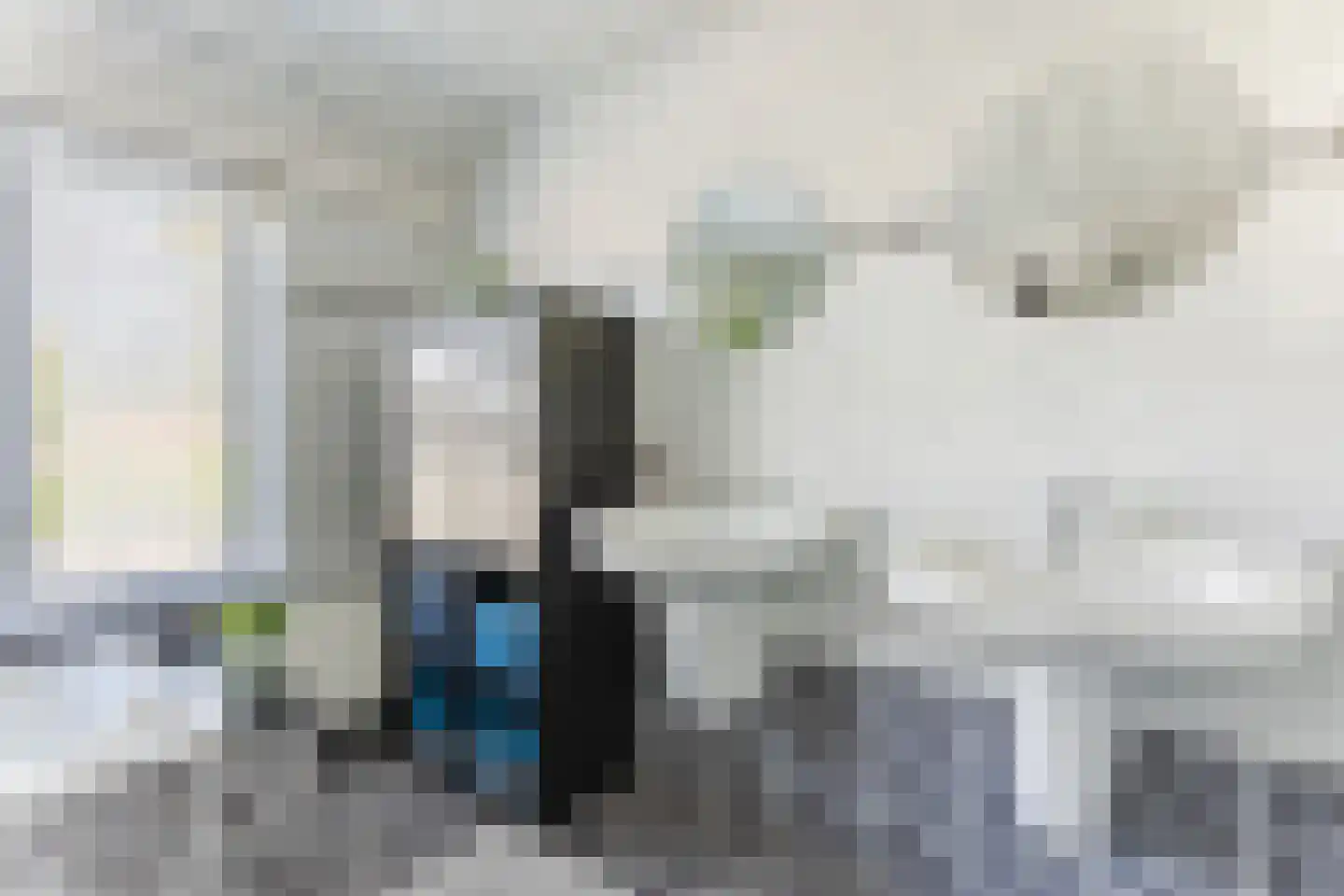 Rietstraat 48 Geldrop thumbnail 24