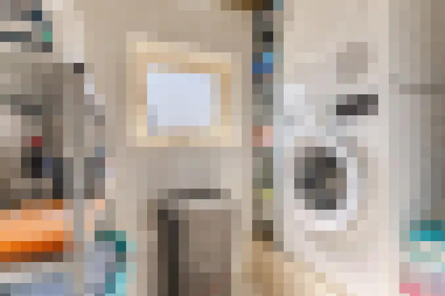 Rietstraat 48 Geldrop thumbnail 27