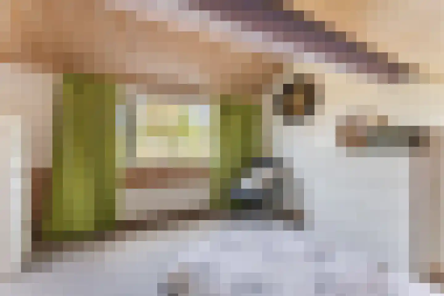 Rietstraat 48 Geldrop thumbnail 30