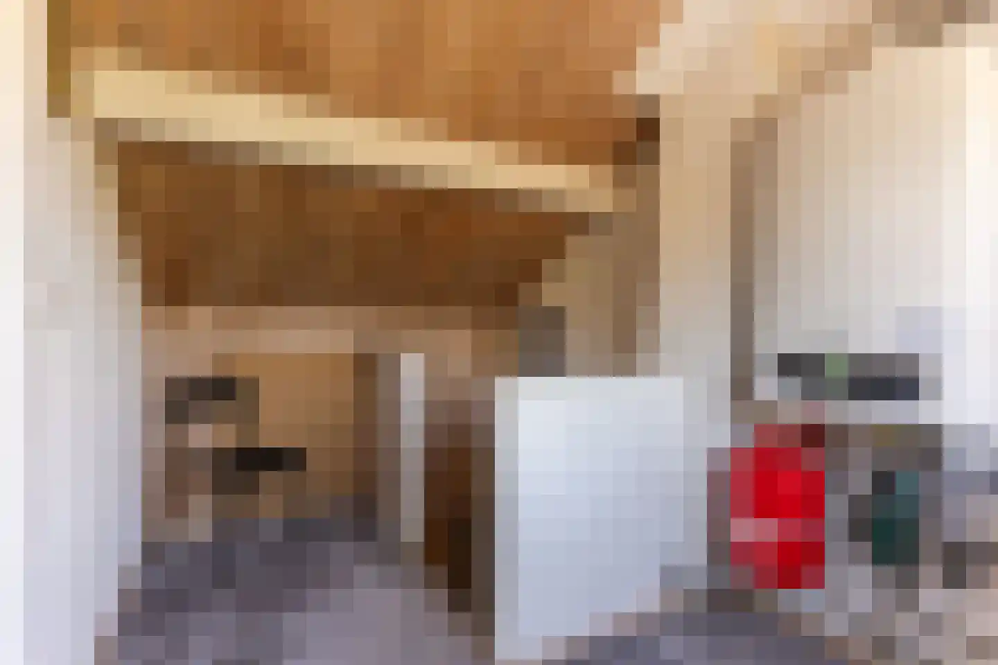Rietstraat 48 Geldrop thumbnail 31