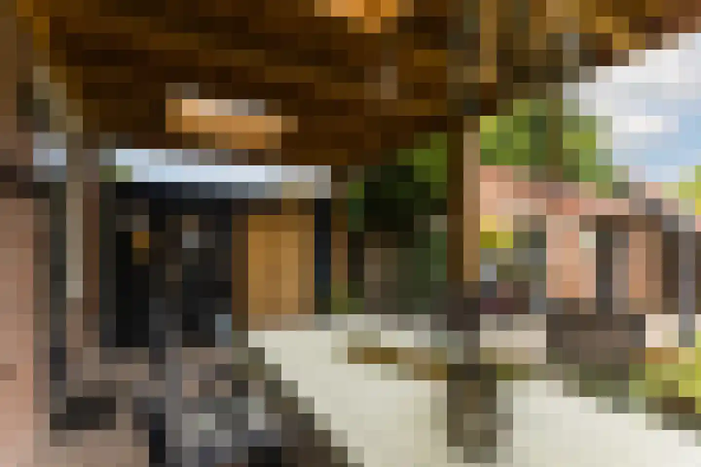 Rietstraat 48 Geldrop thumbnail 32